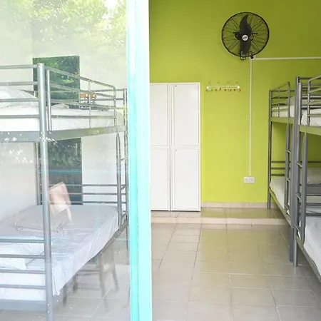 Lemongrass 레메소스